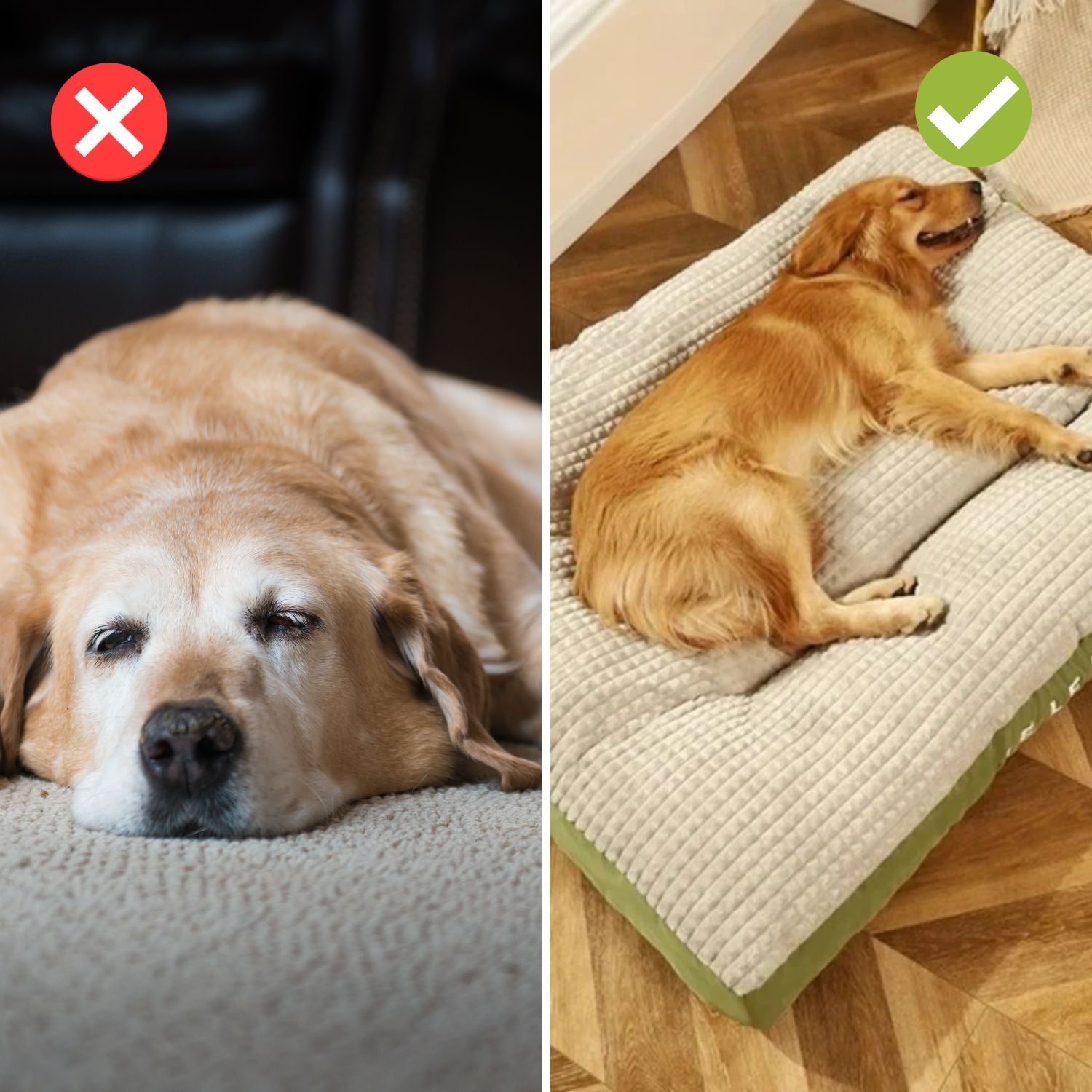 Cozy Dog Bed for Calm Nights - Fesara