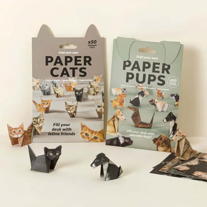 Fun Cat Paper Folding Kit