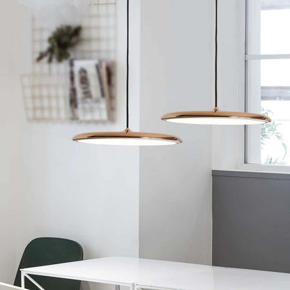 Stylish Pendant Light for Contemporary Homes