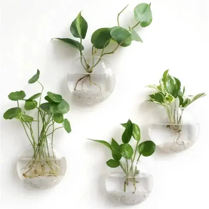 Green Wall Planter Box - Fesara