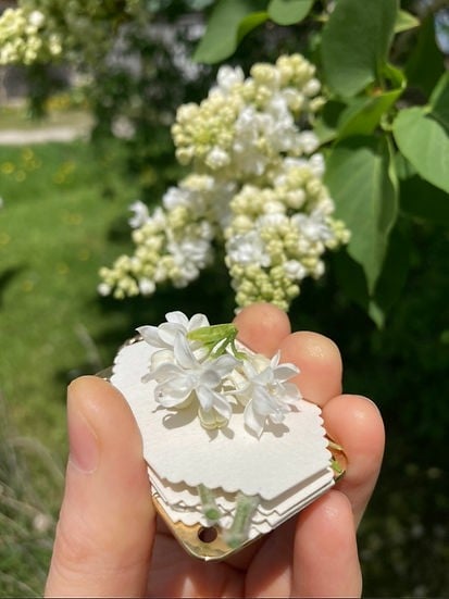 Fresh Flower Preservation Kit