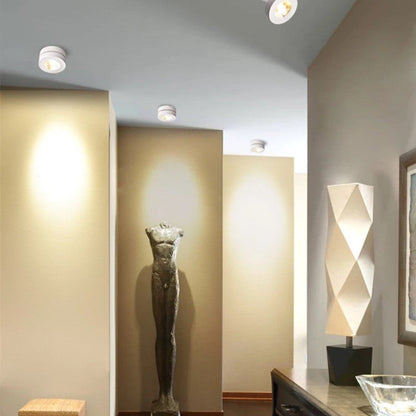 Modern Metal LED Ceiling Spotlight