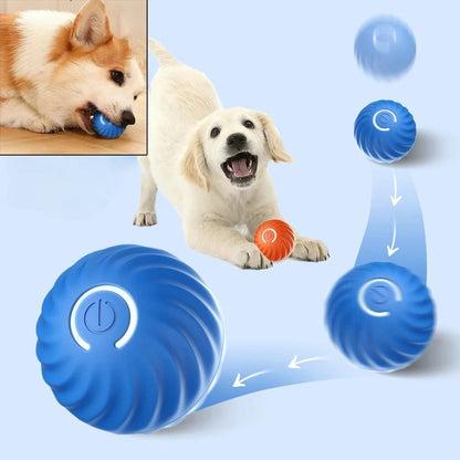 Fun Interactive Dog Ball Launcher