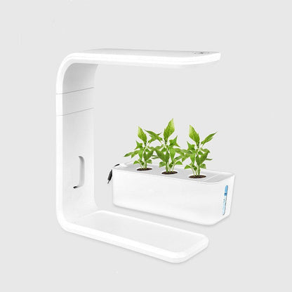 Easy Care Automatic Indoor Herb Garden Planter