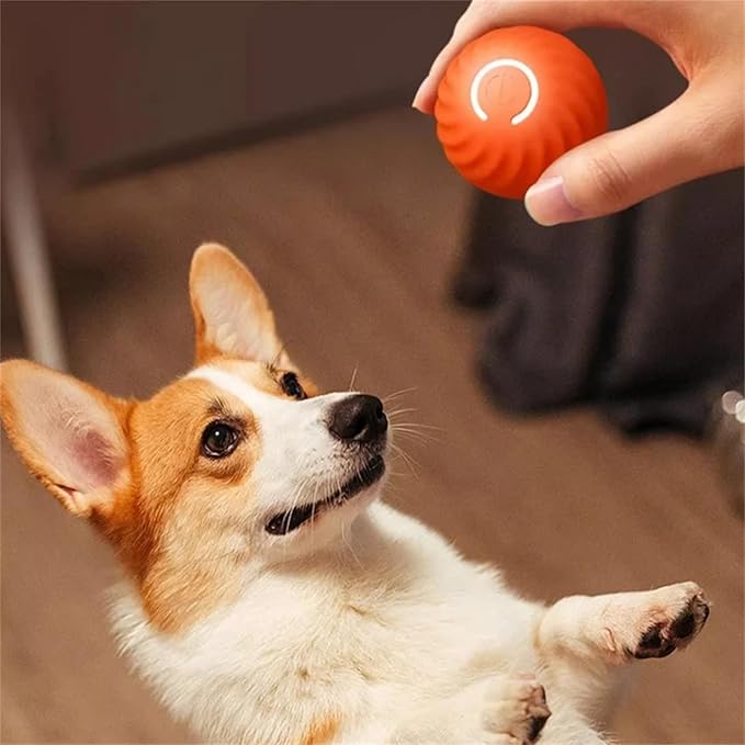 Interactive Pet Ball - Automated Rolling Toy - Fesara