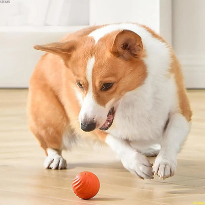 Interactive Pet Ball - Automated Rolling Toy
