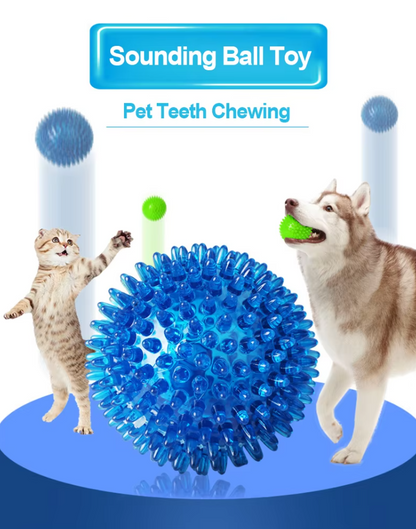 Textured Dog Play Ball for Dental Care