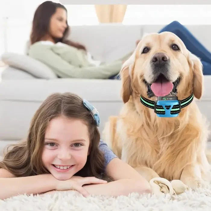 Effective Rechargeable Dog Bark Controller