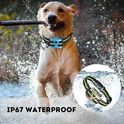 Effective Rechargeable Dog Bark Controller