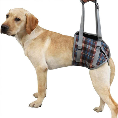 Comfortable Dog Support Harness for Back Legs