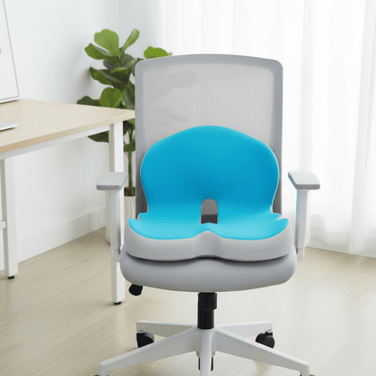 Orthopedic Memory Foam Back Support Cushion - Fesara
