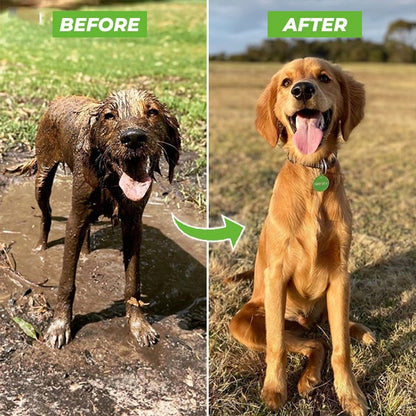 Easy Pet Dog Washer Spray