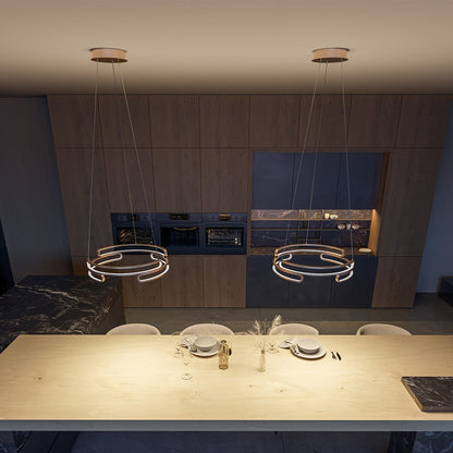 Elegant Metal Pendant Light