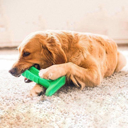 Pet Dental Care Brush and Toothpaste Kit