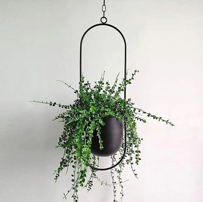 Modern Plant Hangers for Home Decor