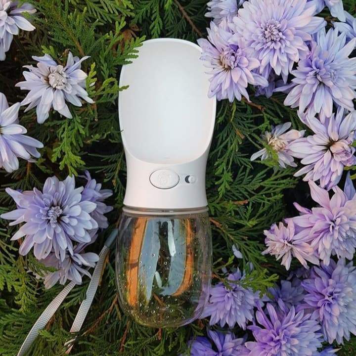 Leakproof Dog Water Bottle
