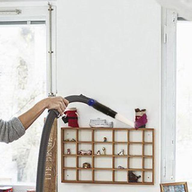 Effective Dusting Pro Brush
