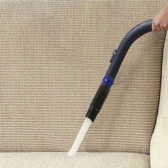 Effective Dusting Pro Brush
