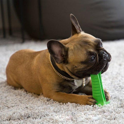 Pet Dental Care Brush and Toothpaste Kit