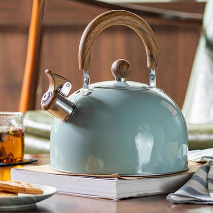 Fast Boil 3L Stainless Steel Whistling Kettle with Ergo Handle - Fesara