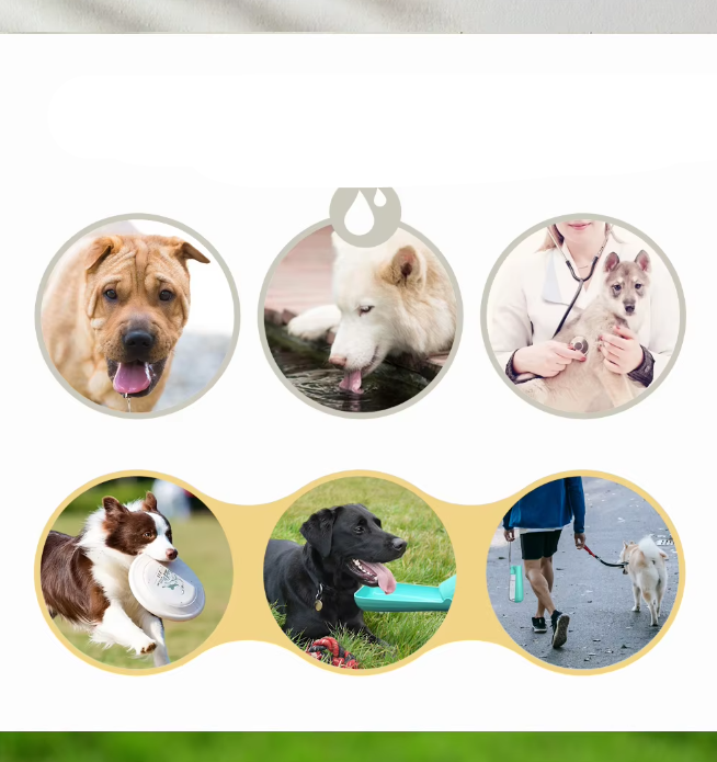 Portable Pet Water Bottle - Leak Proof 550ml