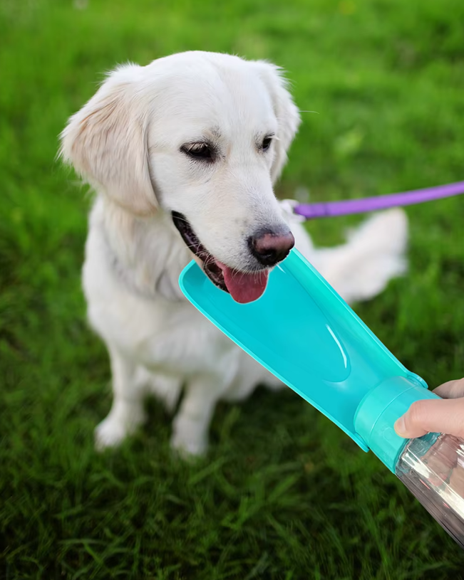 Portable Pet Water Bottle - Leak Proof 550ml