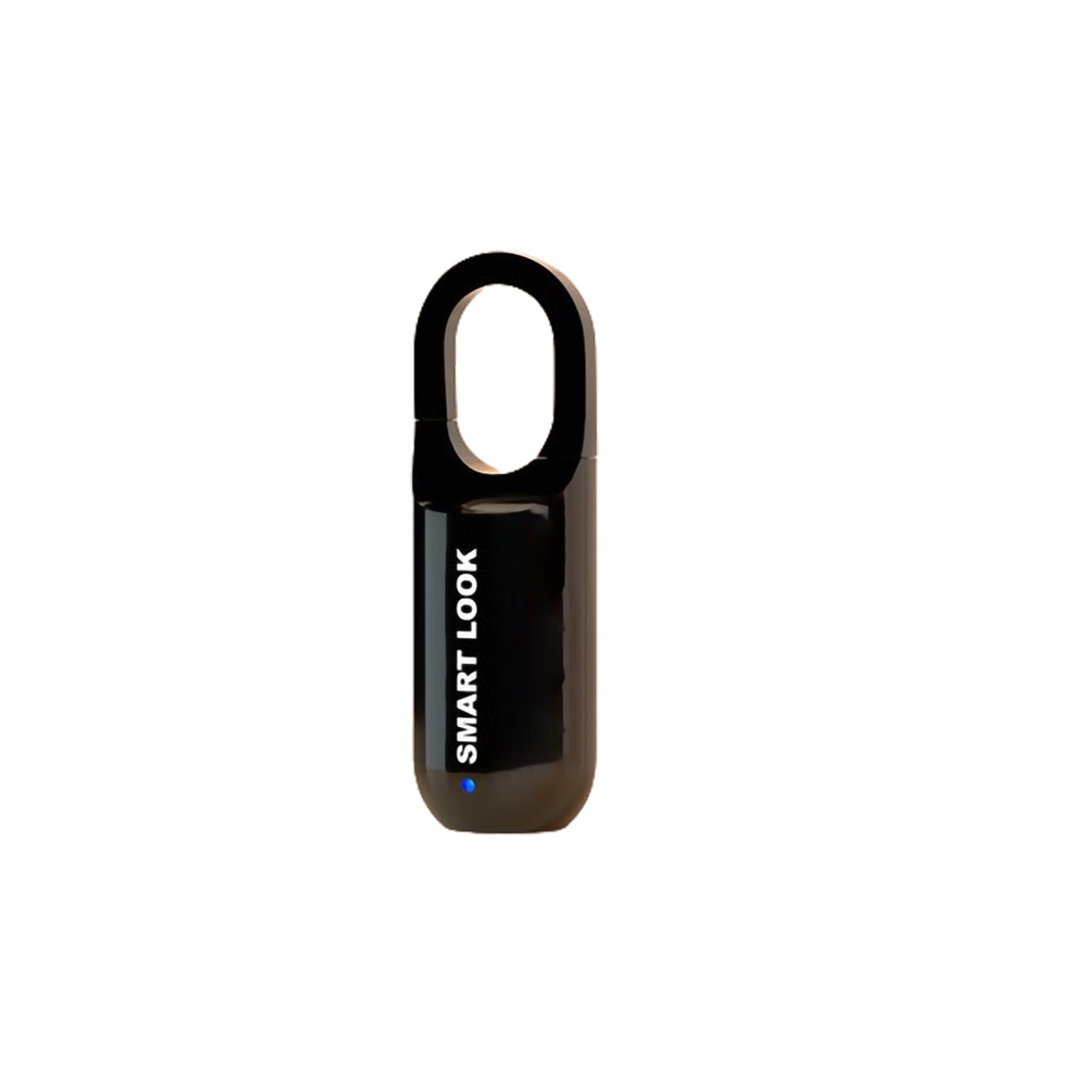 Digital Fingerprint Combination Lock - Fesara