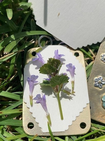 Fresh Flower Preservation Kit