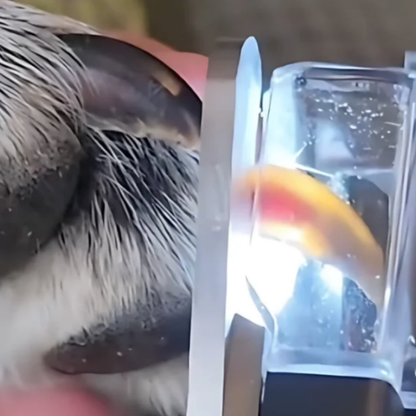 Easy Pet Nail Clipper with LED Guide Light