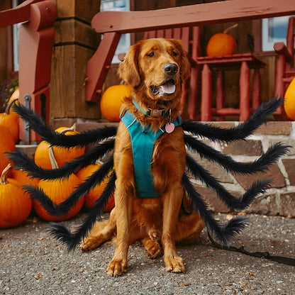 Fesara | Cute Pet Spider Costume | Halloween Dog Suit