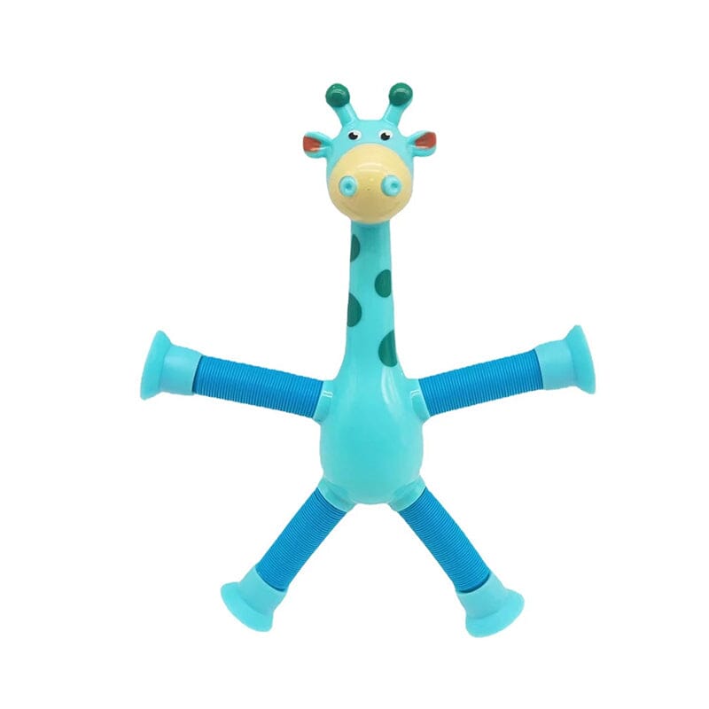 Fun Interactive Pet Toy