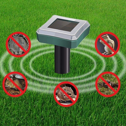 Natural Pest Repellent for Safe Gardens