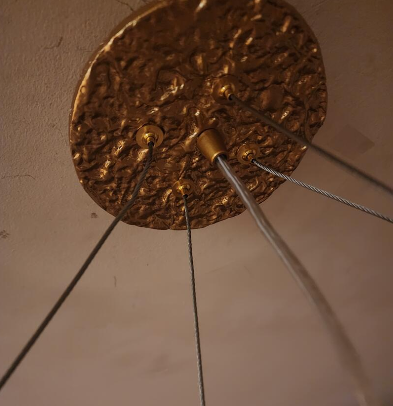 Unique Nature Inspired Hanging Lamp
