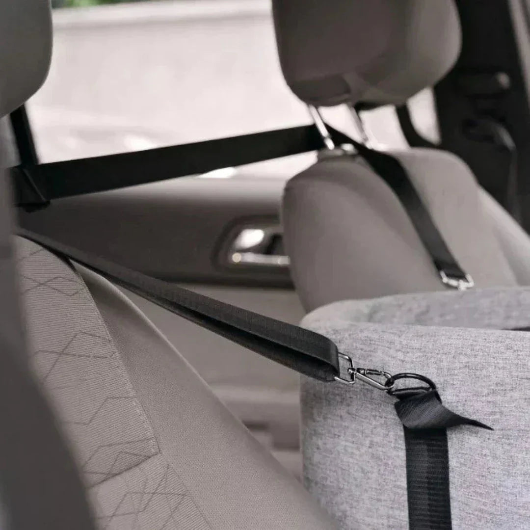Comfy Car Dog Booster Seat for Small Pets