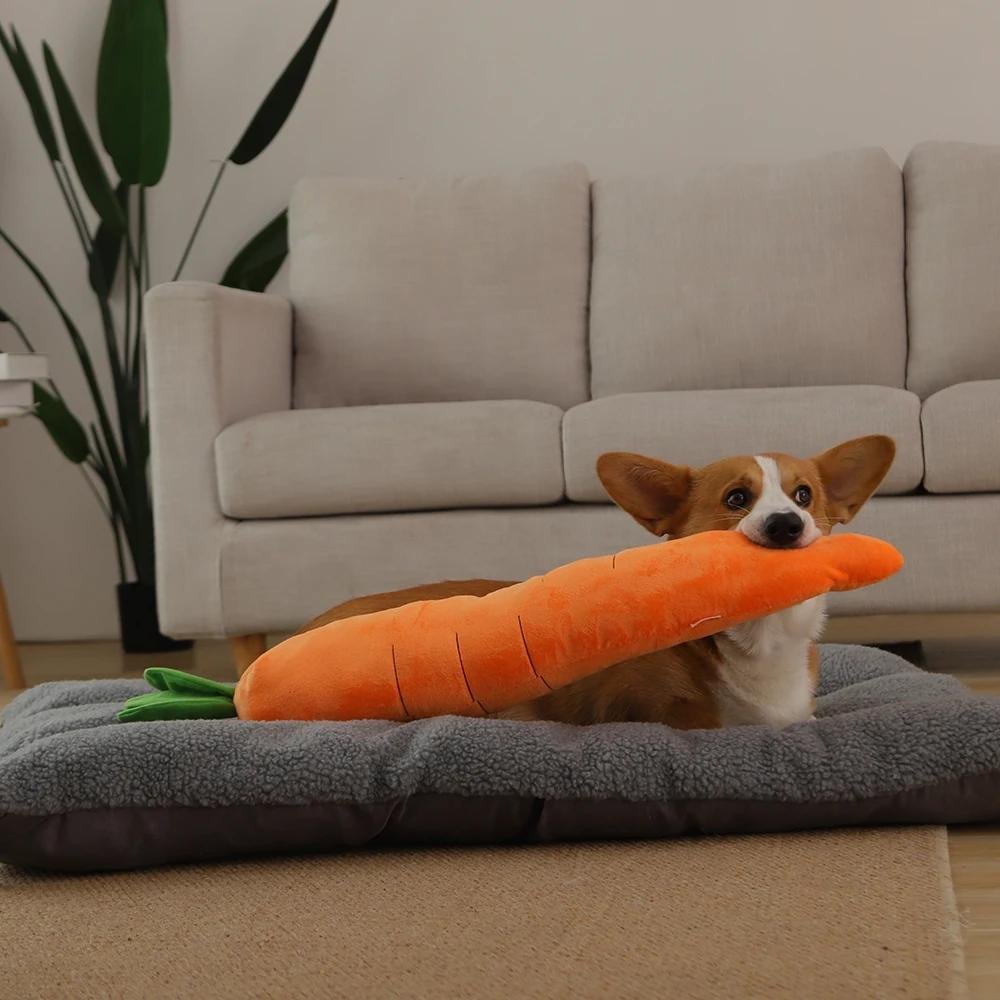 Fun Rubber Dog Chew Toy