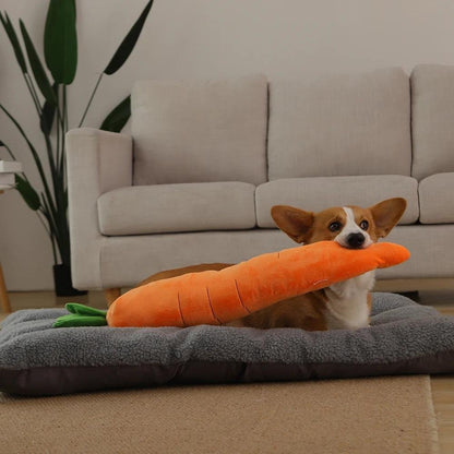 Fun Rubber Dog Chew Toy