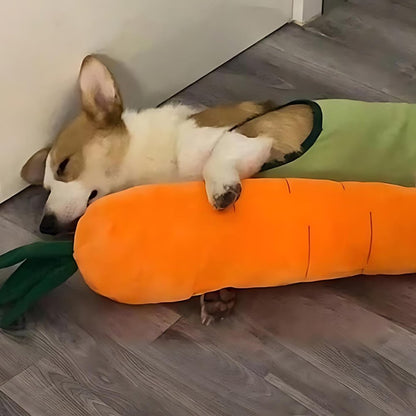 Fun Rubber Dog Chew Toy