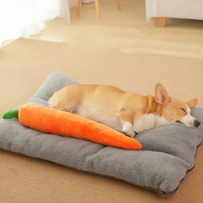 Fun Rubber Dog Chew Toy