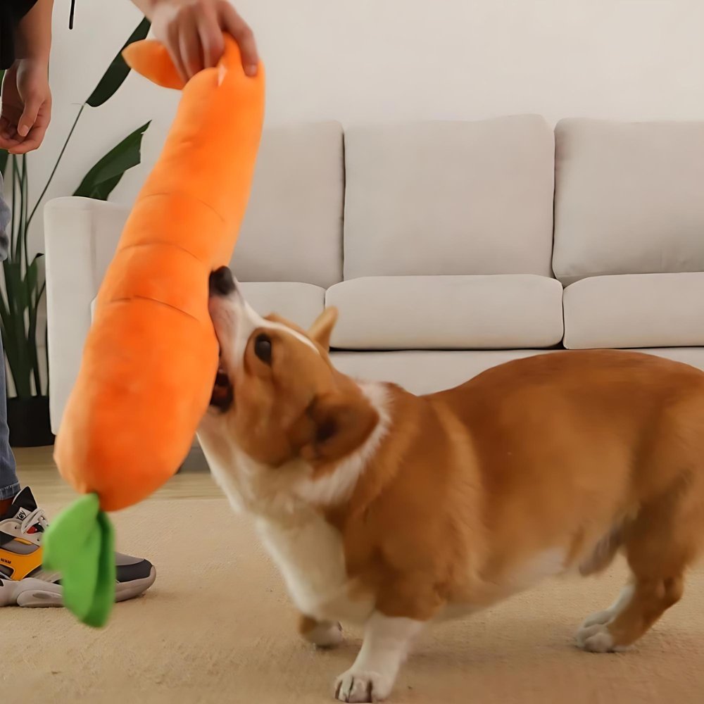 Fun Rubber Dog Chew Toy