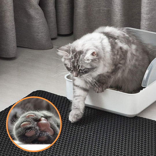 Cat Litter Box Mat with Double Layer Trap - Fesara