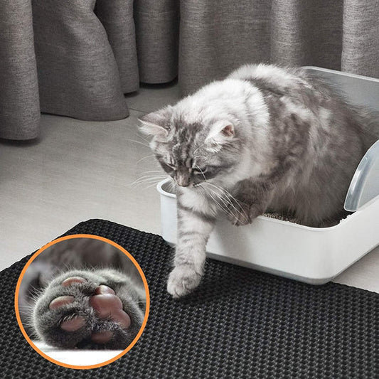 Cat Litter Box Mat with Double Layer Trap - Fesara