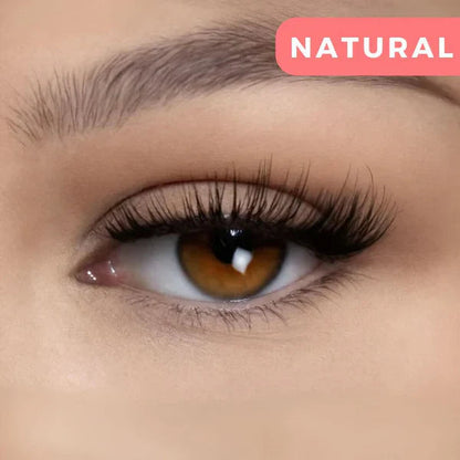 Easy False Lashes Magnetic Eyeliner Kit