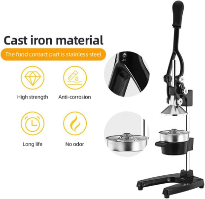 Easy to Use Juicer for More Juice Extraction