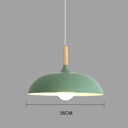 Natural Wood Modern Ceiling Lamp