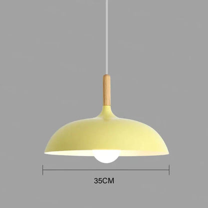 Natural Wood Modern Ceiling Lamp