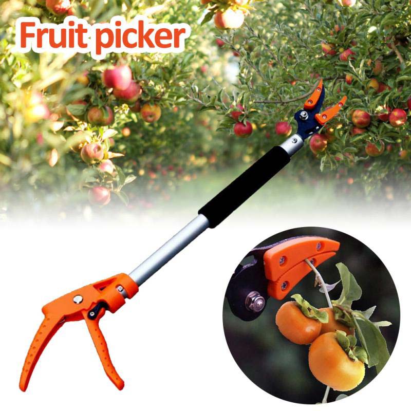 EasyCut Hedge Trimmer for Tall Hedges