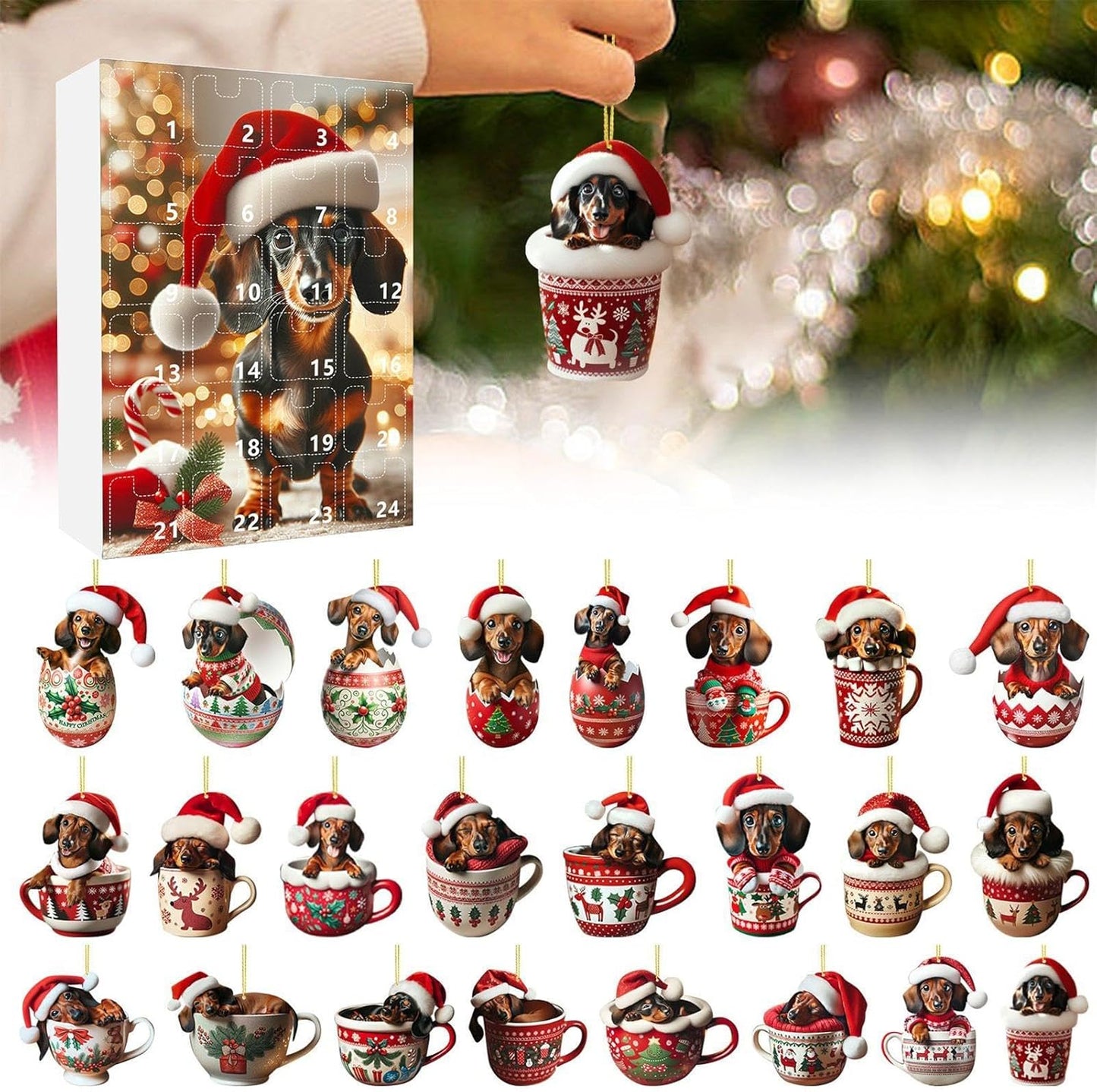 Funny Dog Countdown Calendar Gift Set