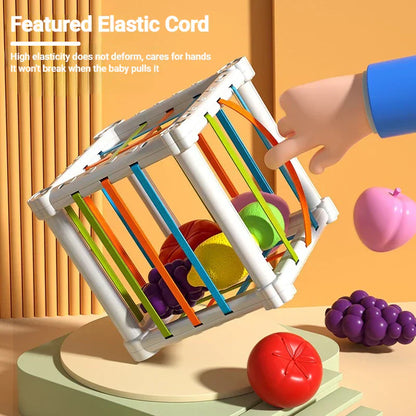 Montessori Shape Sorting Toy for Kids