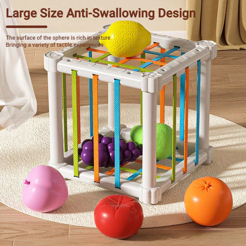 Educational Wooden Shape Sorter Toy