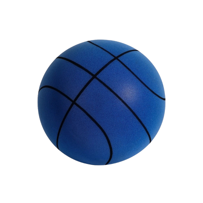 Fun Quiet Kids Basketball